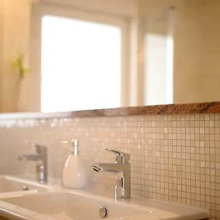 Camelia オパティヤ